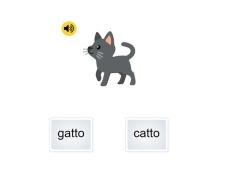 gatto