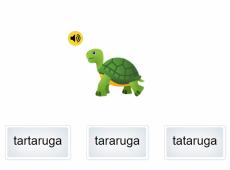 Tartaruga